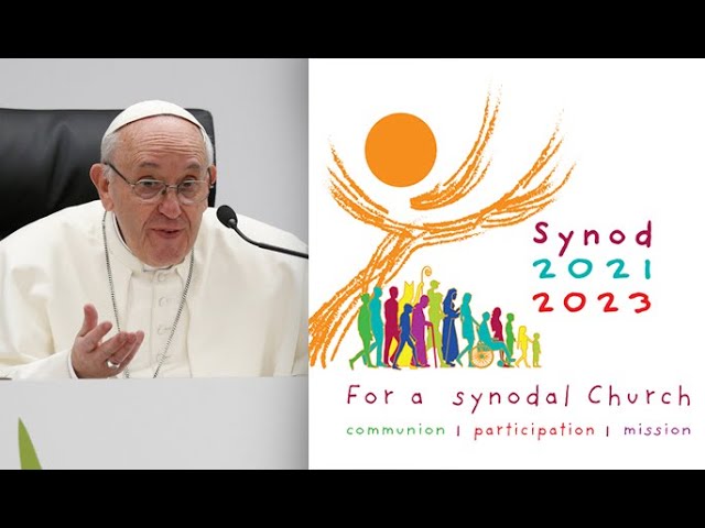 17. People of God: What is a Synod of Bishops?