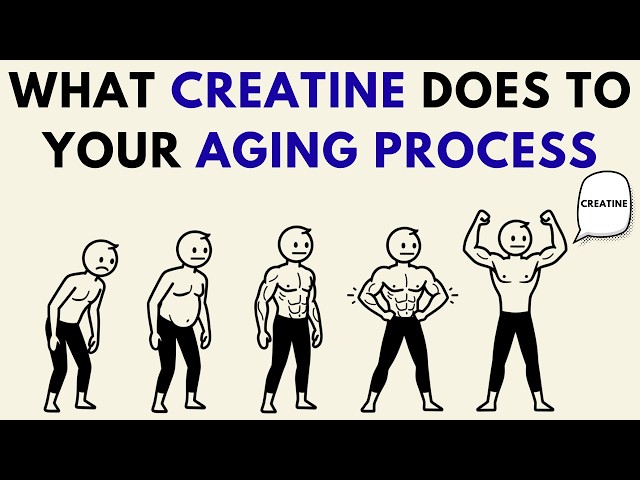 What Happens to Aging Process if You Take Creatine Daily (Science Explained)