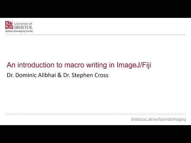 Introduction to programming and macro writing in ImageJ/Fiji (Part 1)