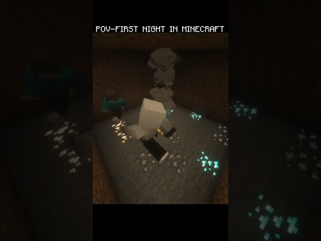 FIRST NIGHT IN MINECRAFT 🕺🏻🥳