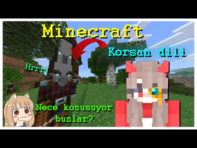 Minecraft'da Korsan dili 😱 - Bilinmeyenler Serisi - Minecraft bilinmeyenler #shorts #minecraft