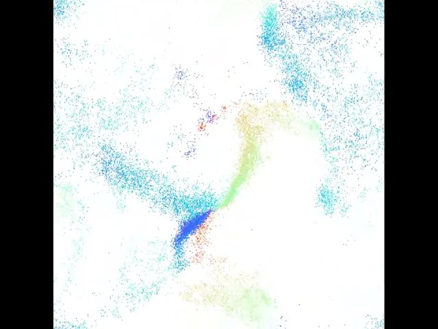 Vicsek model simulation