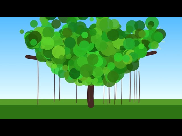 I coded a Banyan Tree from scratch! 🌳💻 #shortsbanyan tree