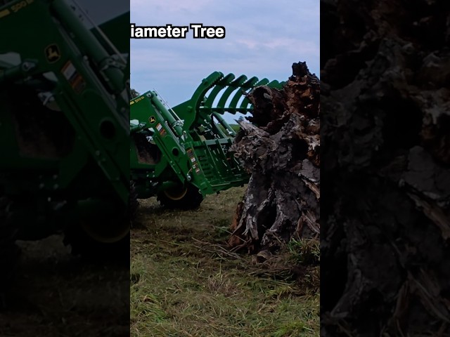 Massive tree vs NEW John Deere 5075E Hydro #johndeere #heavyduty