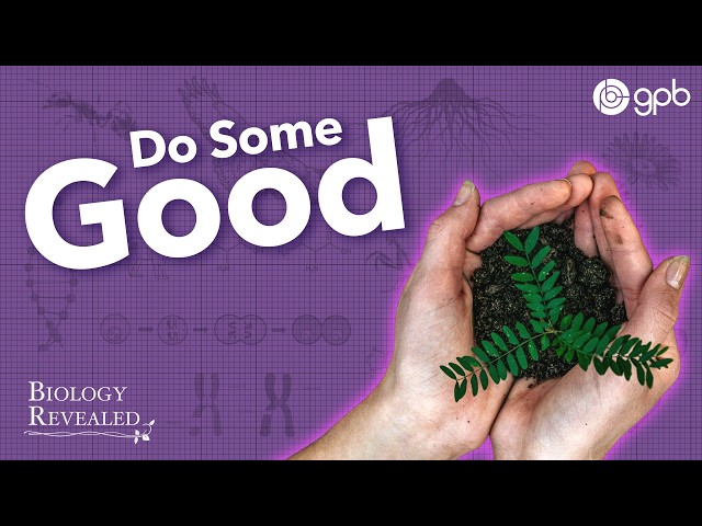 How Do Humans Impact the Environment?