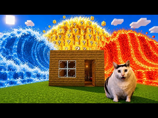 Cats Survive TSUNAMI In Minecraft COMPILATION