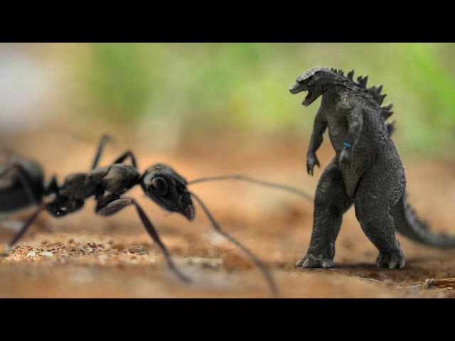 Micro-Godzilla: King of the Insects - NO AI
