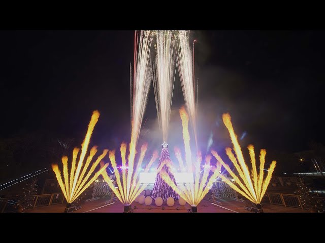 (VR180 ・3D) 2022.01.03 デンパーク ウィンターイルミ×花火ショー！