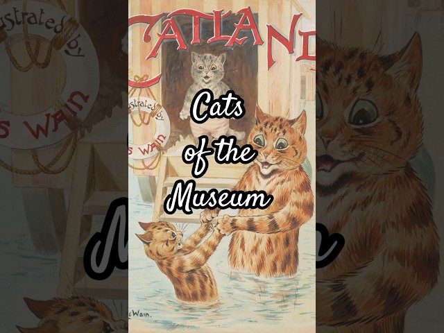 The V&A Cat Collection 🐈