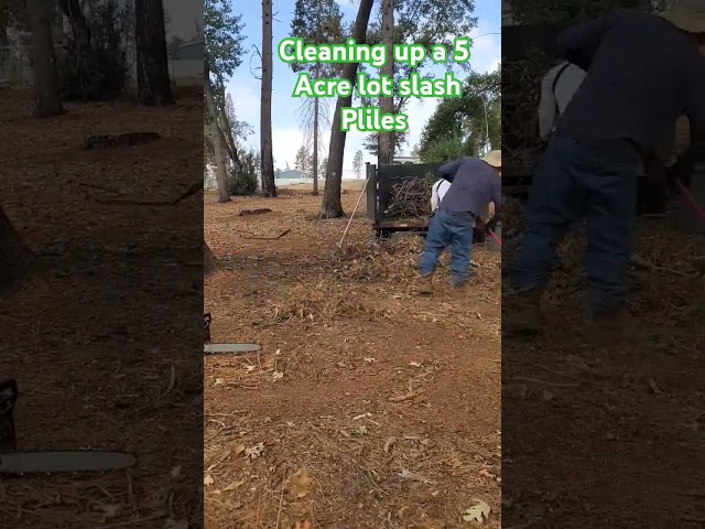 5 Acre slash pile clean up working on 2nd load. #dumptrailer #propertycleanup #paradiseca #campfire