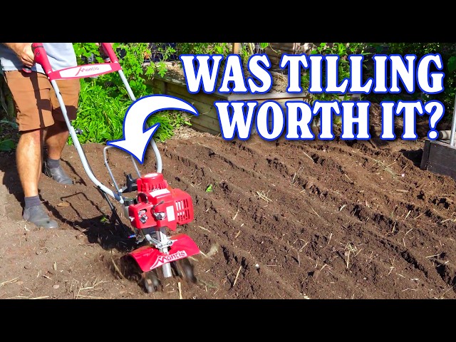Tilling My Garden For The First Time...