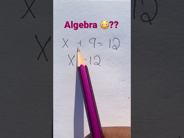 How To Do Algebra 😳❔