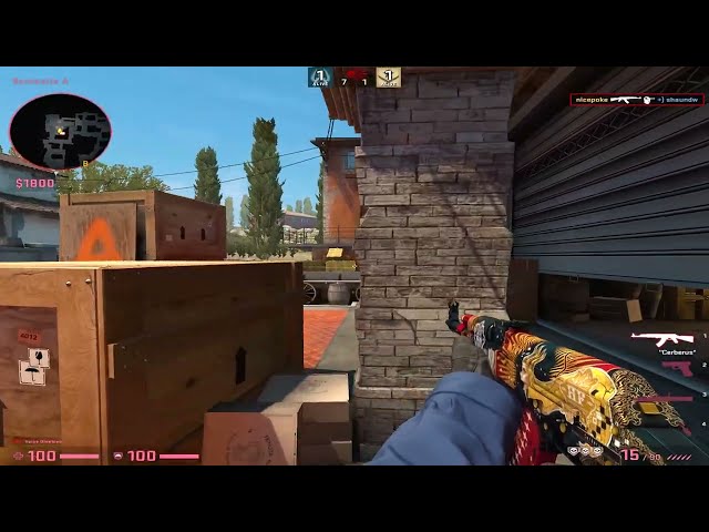 1vs4 NICEPOKE #backinbussines