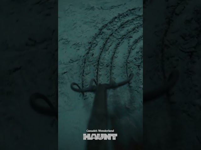 Oddly Terrifying - Halloween Haunt - Digging