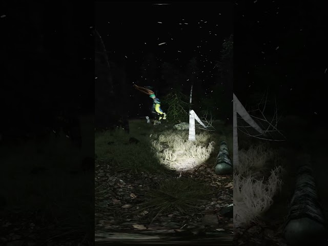 KPOP Demon Huntes🥵 Horror - Forest !