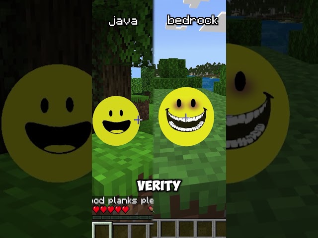Verity Bedrock vs Verity Java #minecraft