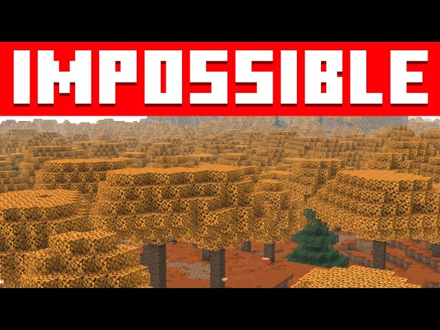 You Will Never Find This Minecraft Biome Variant