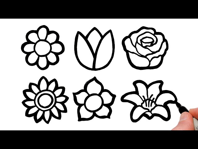 6 Beautiful Flowers Drawing & Coloring 🌺 Step-by-Step Tutorial!