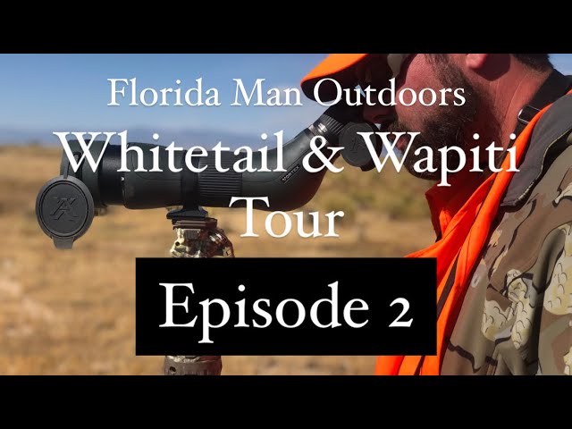 HUGE Elk and an INSANE amount of them! Whitetail & Wapiti Tour 2020: Episode 2