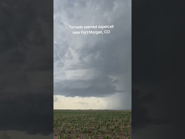 #Tornado warned supercell near Fort Morgan, #colorado #shorts