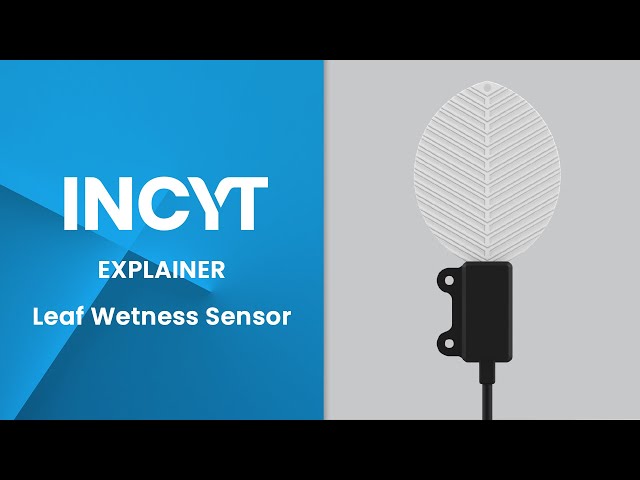 Leaf Wetness Sensor | INCYT AgTech Explained