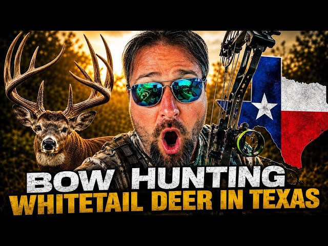 Bow Hunting Giant Texas Bucks In The Rut!