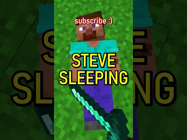AHHHHHHHH STEVE, MY DUDE.