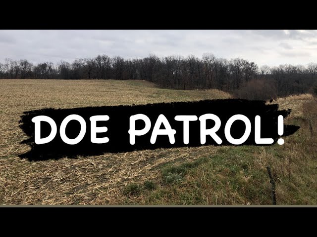 DOE PATROL in Missouri! Sausage Stuffed Backstrap! {Kill & Cook}