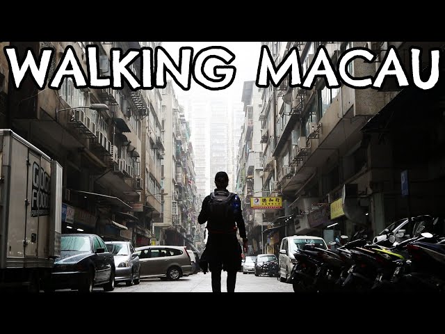 Walking The Length of The Richest Country in The World | Macau Adventure Travel Vlog #3