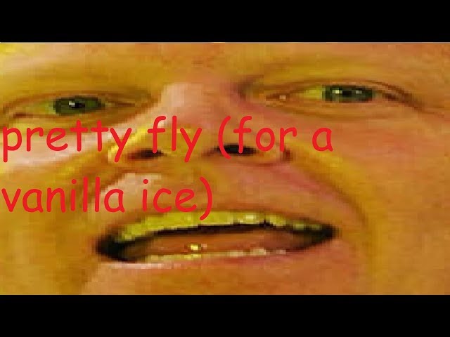 pretty fly for a white guy but everything is ice cube & vanilla ice