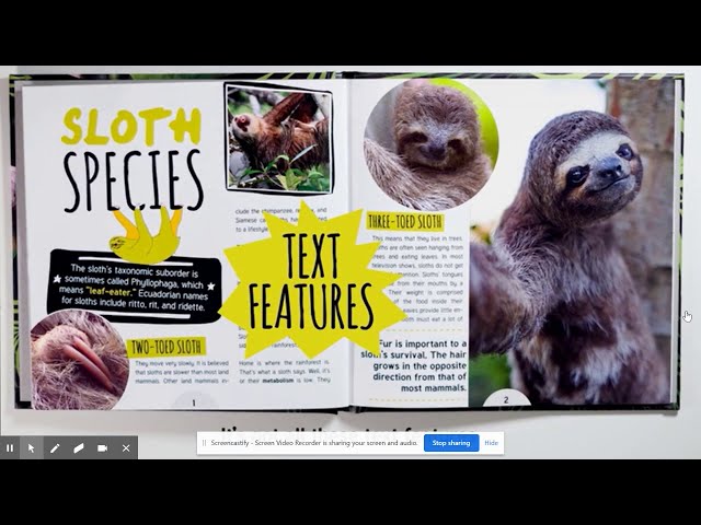 Text Features Rap from Flocabulary