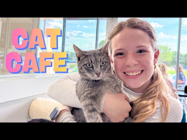 Should we Adopt a Cat ??