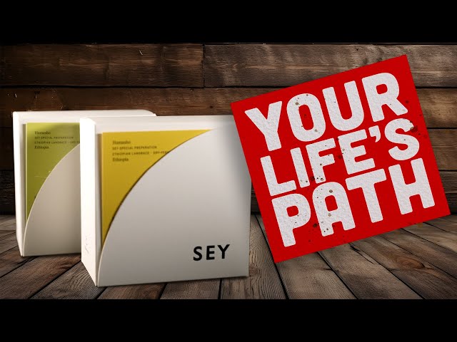 Washed vs. Honey Processed Coffee | Two Roads, One Journey Inward | SEY Coffee