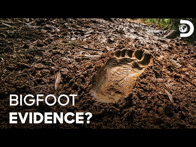A Massive Stick Structure Raises Bigfoot Questions | Expedition Bigfoot S1 E3