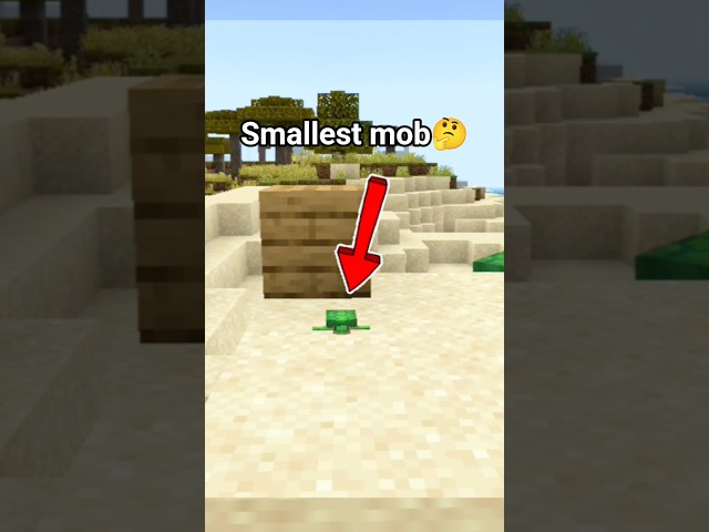 who is the smallest mob in Minecraft #minecraft #gaming #shorts #viral