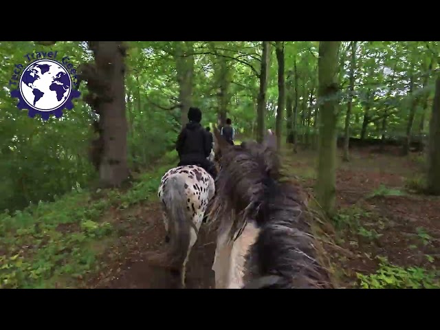 Fun Ride at Floors Castle, Scotland #DJIosmoAction5Pro #HorseRiding #Scotland