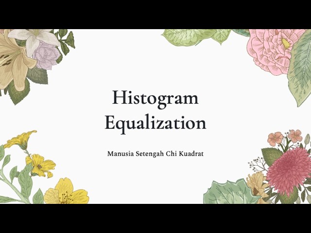 Histogram Equalization