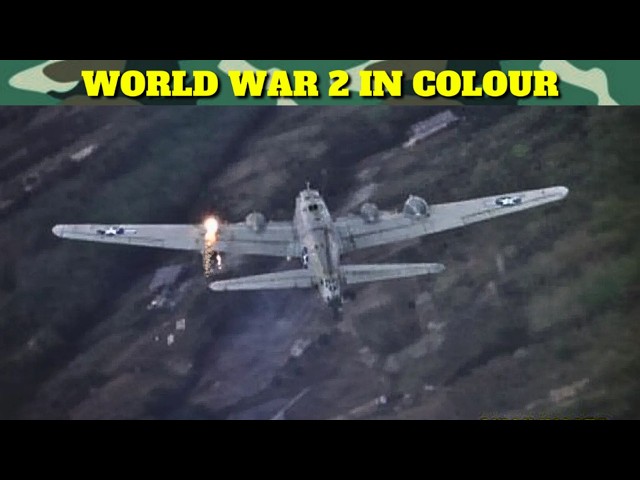 German Air-to-Air Gun Camera Footage: Combat Color Film.