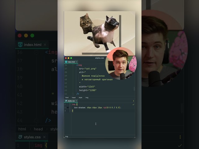 CSS Разница теней — box-shadow VS drop-shadow