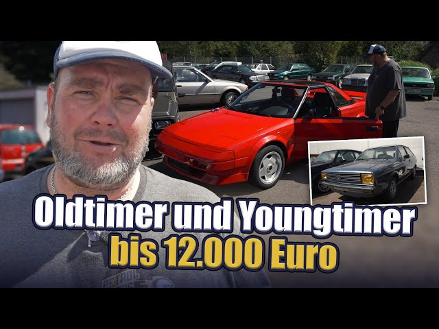Classic and modern cars under 12,000 euros