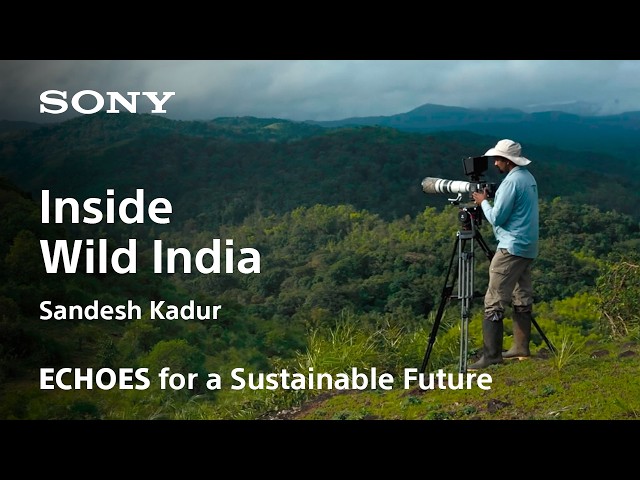 ECHOES | Sandesh Kadur | Sony