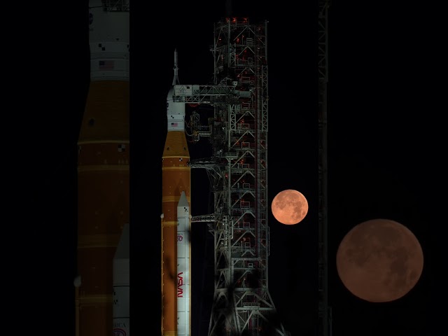 International Moon Day