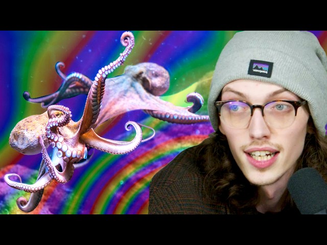 The Octopus on M*lly Experiment