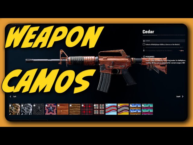 ALL THE WEAPON CAMOS IN BLACK OPS 6