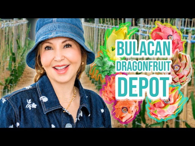 Dragon Fruit Overload in Bulacan!| Small Laude