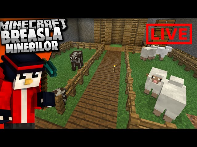 Breasla Minerilor | Minecraft SMP | Livestream #2