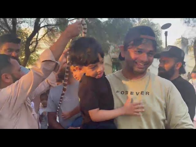 Holding a Snake on Shoulder Al Khor Park Qatar