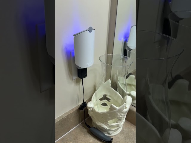 Zevo Fly Trap Review | Let's See All Of Those Bugs!