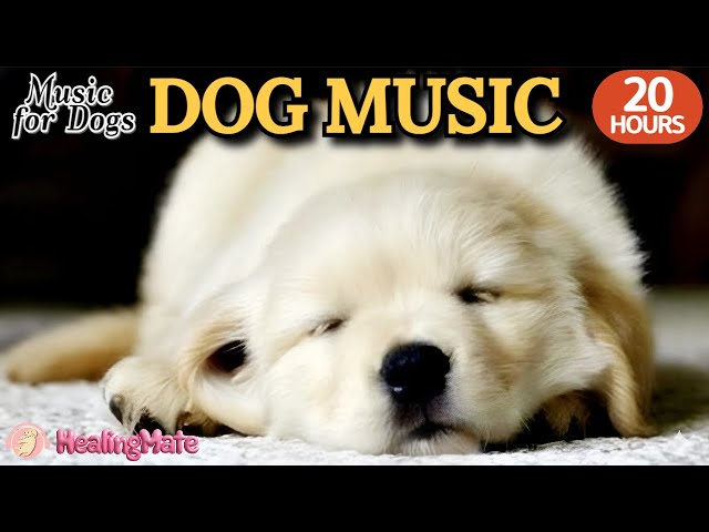 20 HOURS of Dog Calming Music🐶🎵Dog TV Relaxing Sleeping Music🐶💖For Stress Ease Dog Music⭐Healingmate