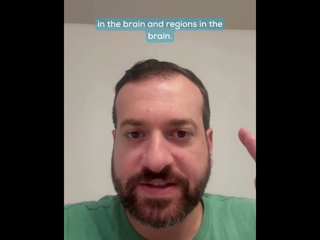 Why Focus on Brain Function Instead of Brain Imaging?
